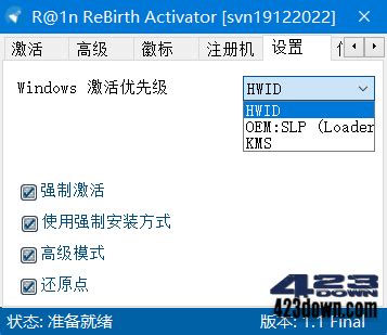 Download R@1n ReBirth Activator